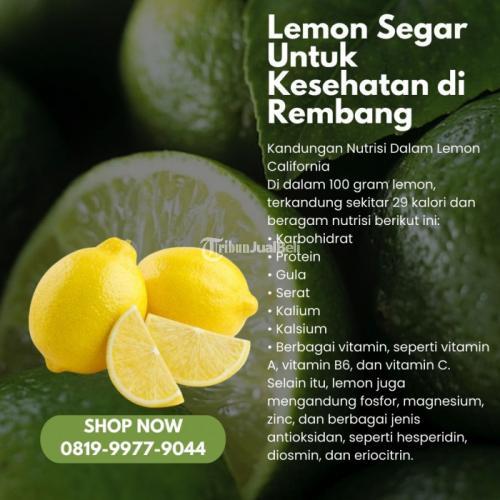 Lemon Segar Untuk Kesehatan di Kabupaten Rembang Call/WA 0819-9977-9044