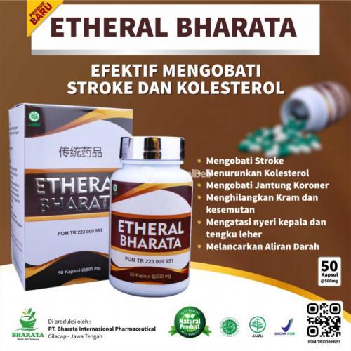 Obat Stroke Herbal Ampuh Asli,Obat Stroke Manjur,Obat Stroke Alami