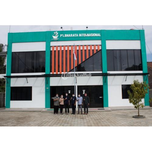 Obat Stroke Herbal Ampuh Asli,Obat Stroke Manjur,Obat Stroke Alami