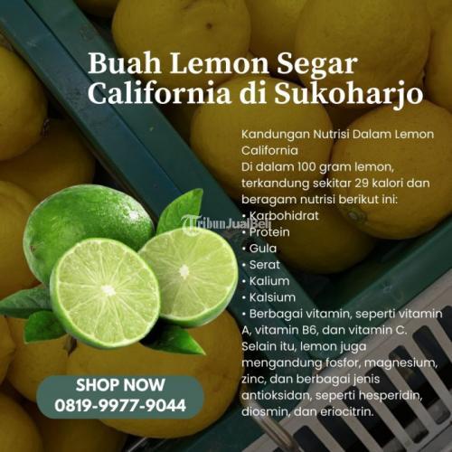Buah Lemon Segar California di Kabupaten Sukoharjo Call/WA 0819-9977-9044