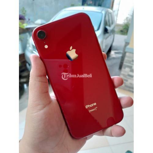 iPhone XR 125 | nate-hospital.com