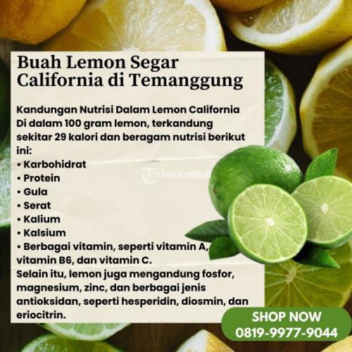 Buah Lemon Segar California di Kabupaten Temanggung Call/WA 0819-9977-9044