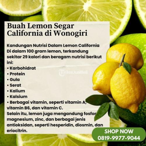 Buah Lemon Segar California di Kabupaten Wonogiri Call/WA 0819-9977-9044