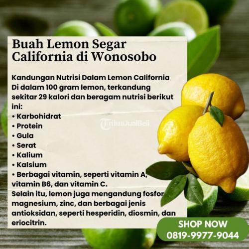Buah Lemon Segar California di Kabupaten Wonosobo Call/WA 0819-9977-9044