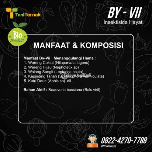 BY VII (Insektisida Hayati)