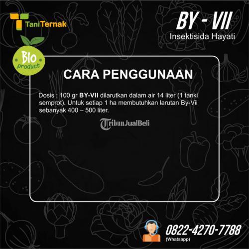BY VII (Insektisida Hayati)