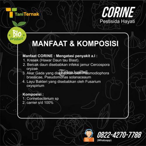 CORINE (Pestisida Hayati)