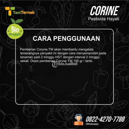 CORINE (Pestisida Hayati)