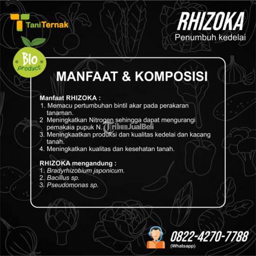 RHIZOKA (Penumbuh kedelai)