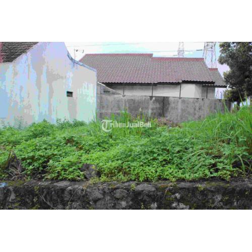 Tanah Sangat Strategis dekat UNDIP Tembalang