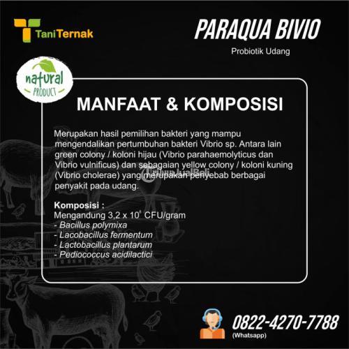 Paraqua Bivio (Probiotik udang)