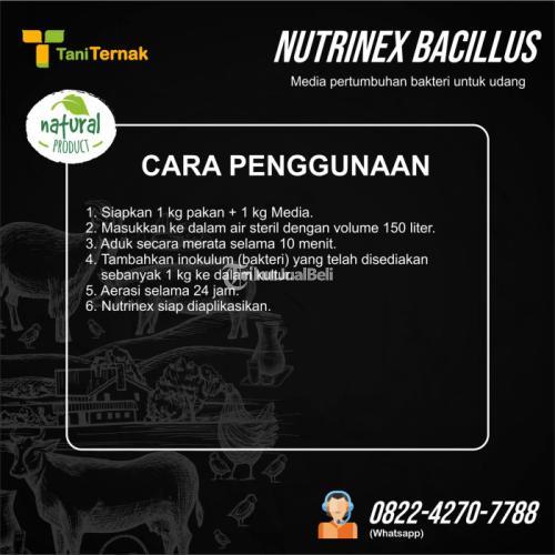 Nutrinex Bacillus (Probiotik udang)