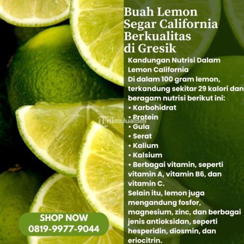 Buah Lemon Segar California Berkualitas di Kabupaten Gresik Call/WA 0819-9977-9044