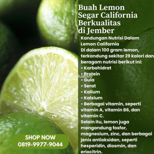 Buah Lemon Segar California Berkualitas di Kabupaten Jember Call/WA 0819-9977-9044