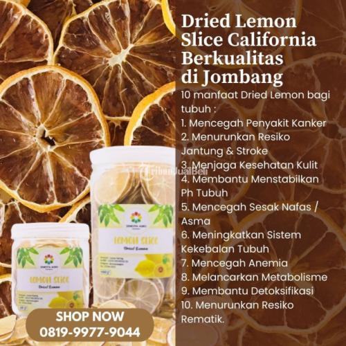Dried Lemon Slice California Berkualitas di Kabupaten Jombang Call/WA 0819-9977-9044