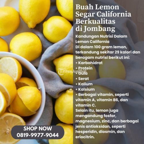 Buah Lemon Segar California Berkualitas di Kabupaten Jombang Call/WA 0819-9977-9044