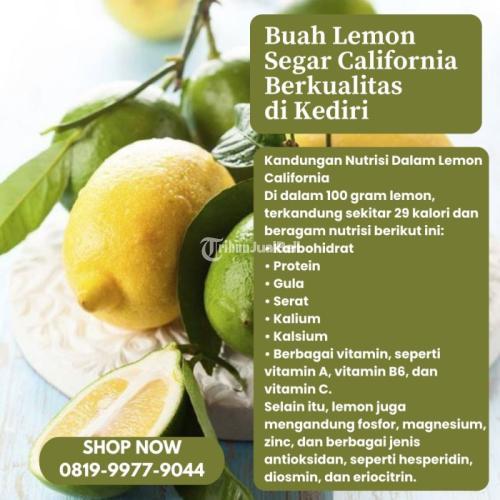 Buah Lemon Segar California Berkualitas di Kabupaten Kediri Call/WA 0819-9977-9044