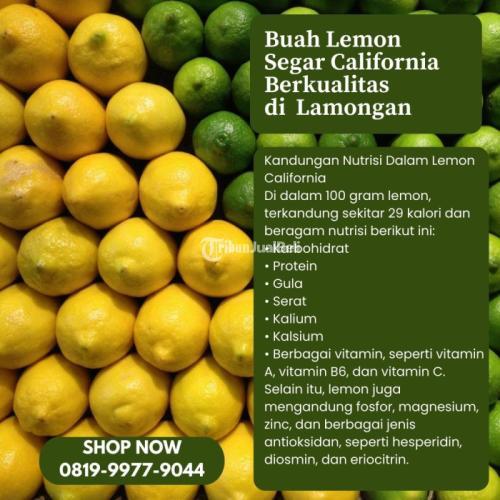 Buah Lemon Segar California Berkualitas di Kabupaten Lamongan Call/WA 0819-9977-9044