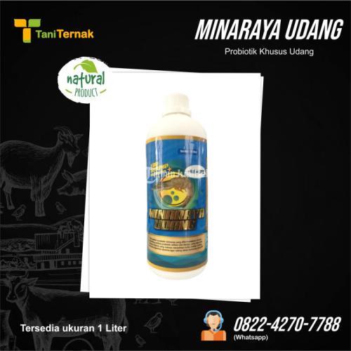 Minaraya udang – BREVIS (Probiotik khusus udang)