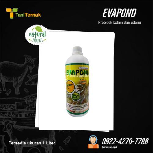 Evapond (Probiotik Kolam & Udang) - Karanganyar