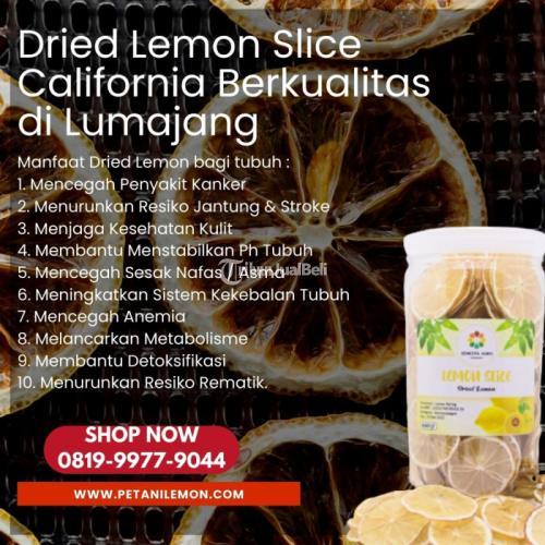 Dried Lemon Slice California Berkualitas di Kabupaten Lumajang Call/WA 0819-9977-9044