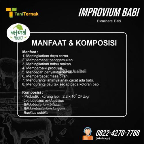 IMPROVIUM BABI (Biomineral Babi)