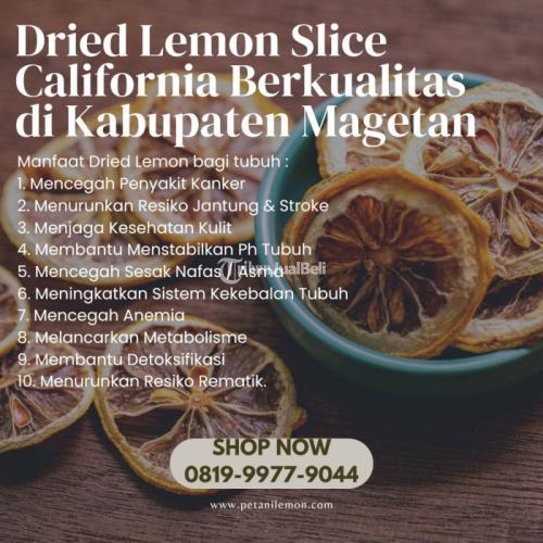 Dried Lemon Slice California Berkualitas di Kabupaten Magetan Call/WA 0819-9977-9044