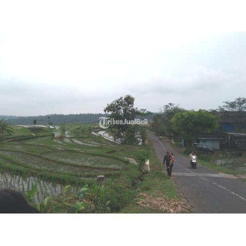Tanah Sawah Produktif View Cantik di Kabupaten Semarang