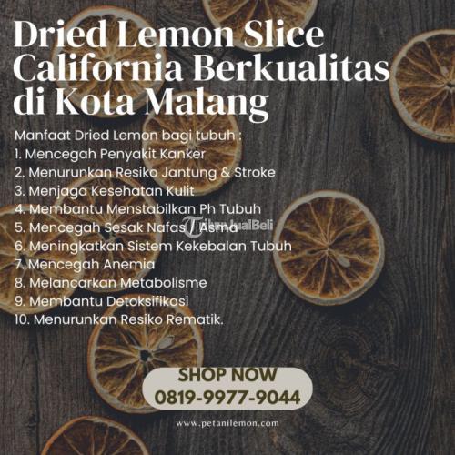Dried Lemon Slice California Berkualitas di Kabupaten Malang Call/WA 0819-9977-9044
