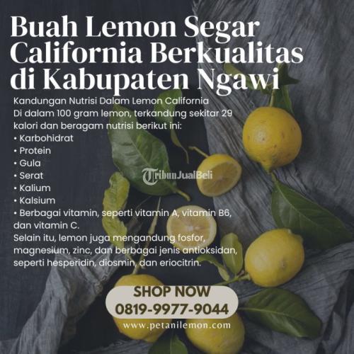 Buah Lemon Segar California Berkualitas di Kabupaten Ngawi Call/WA 0819-9977-9044