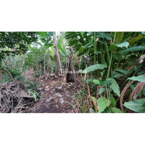 TANAH MURAH 3,4 ARE PINGGIR JALAN DI MAS UBUD