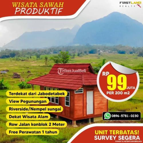 Dijual Tanah Murah Sawah Produktif Untuk Liburan Wisata Keluarga Dan Investasi - Bogor