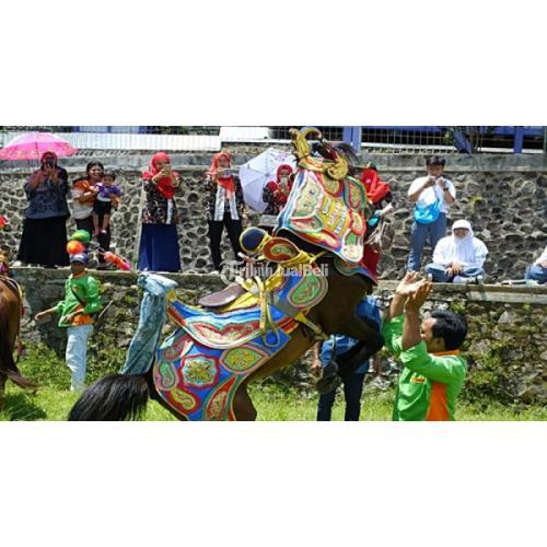 Kuda Renggong Kencana Putra