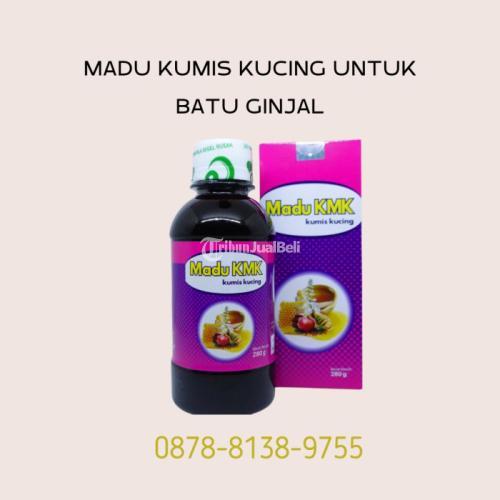 Madu Kumis Kucing Untuk Batu Ginjal Terjamin - Bekasi