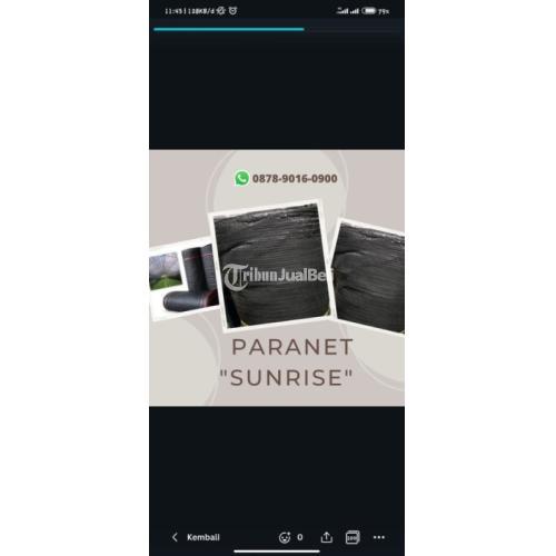 Kualitas Terjamin, WA+6287890160900, Suplier Paranet Anggrek Surabaya