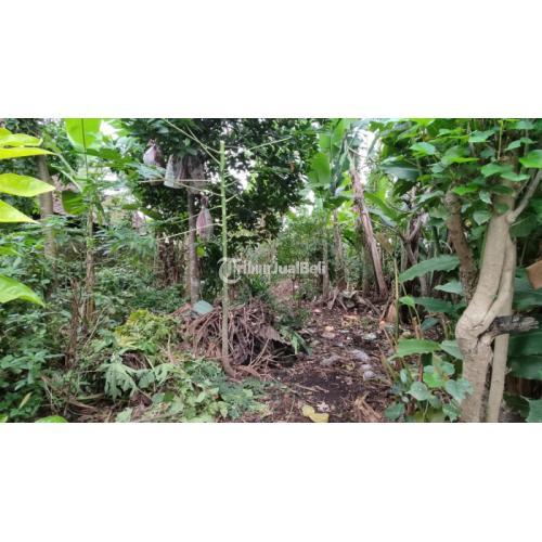 TURUN HARGA TANAH DI UBUD HANYA 400JT LOKASI SANGAT STRATEGIS