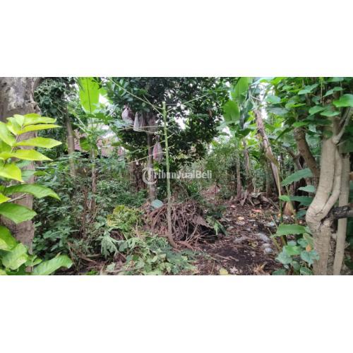 TURUN HARGA TANAH DI UBUD HANYA 400JT LOKASI SANGAT STRATEGIS