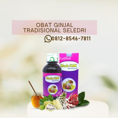 Obat Antibiotik Infeksi Saluran Kencing Madu KMK (0812-8546-7811)