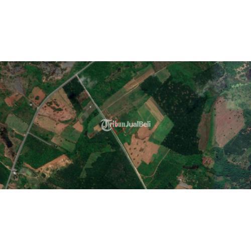 Dijual Lahan Siap Bangun Pelaihari Kalimantan Selatan - Tanah Laut