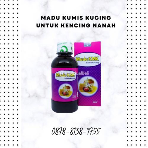 Terpercaya Madu Kumis Kucing Untuk Kencing Nanah - Bekasi