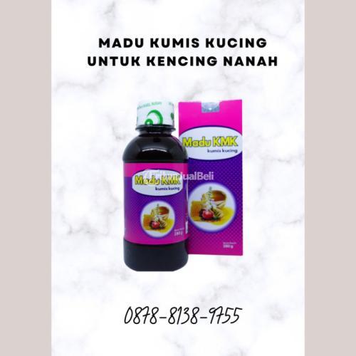 ORIGINAL, (0878.8138.9755) Madu Kumis Kucing Untuk Kencing Nanah
