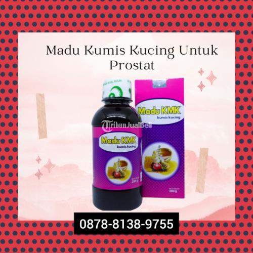 Madu Kumis Kucing untuk Prostat Harga Terjangkau - Bekasi