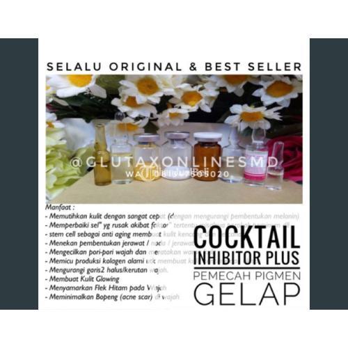 COCKTAIL INHIBITOR PLUS (PEMECAH PIGMEN)