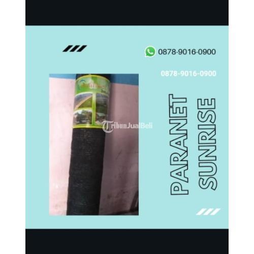 Terlengkap Pabrik Kumbung Jamur Tiram di Surabaya Tribun JualBeli