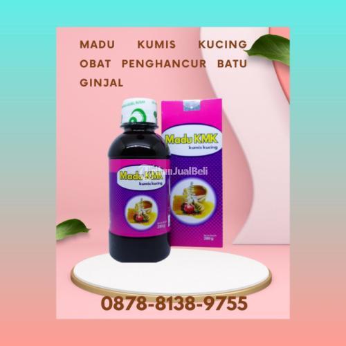 Ampuh Obat Penghancur Batu Ginjal - Bekasi