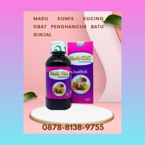 Ampuh Obat Penghancur Batu Ginjal - Bekasi