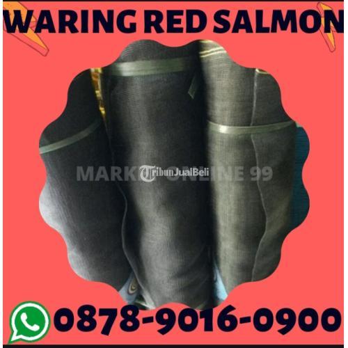 Terlengkap, WA+6287890160900, Jaringan Terluas, Paranet Waring Surabaya