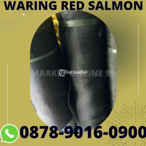 Best Quality Jaringan Terluas, Waring Taman - Surabaya