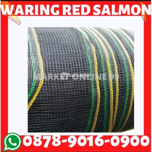 Best Quality, WA+6287890160900, Jaringan Terluas, Jaring Waring Sapi Surabaya