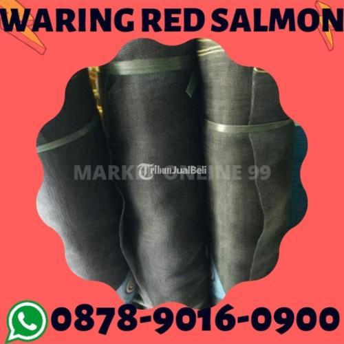 Best Price Jaringan Terluas, Jaring Waring 4×4 - Surabaya